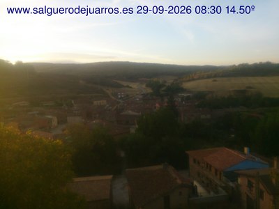 Recorre hacia atrás las últimas 24 horas
