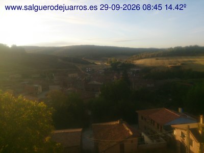 Recorre hacia atrás las últimas 24 horas
