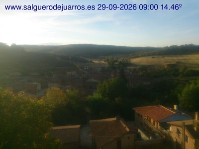Recorre hacia atrás las últimas 24 horas
