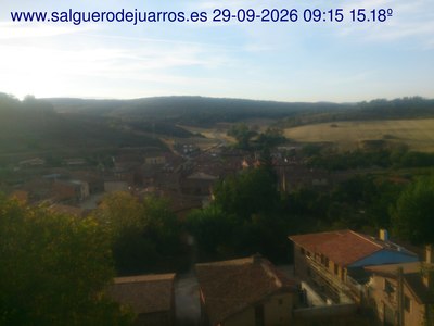 Recorre hacia atrás las últimas 24 horas
