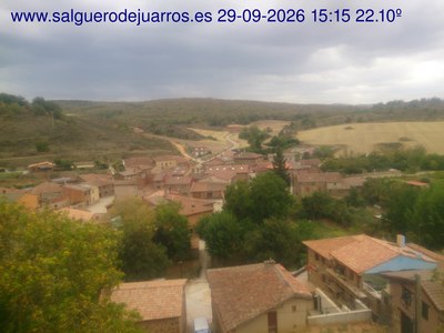 Recorre hacia atrás las últimas 24 horas
