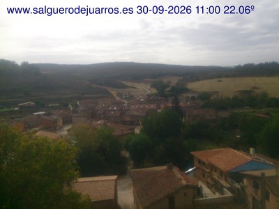 Recorre hacia atrás las últimas 24 horas
