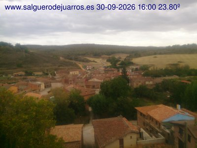 Recorre hacia atrás las últimas 24 horas
