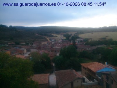 Recorre hacia atrás las últimas 24 horas
