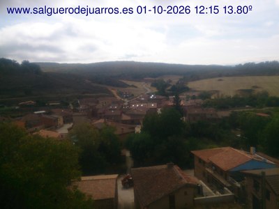 Recorre hacia atrás las últimas 24 horas
