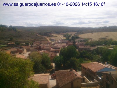 Recorre hacia atrás las últimas 24 horas
