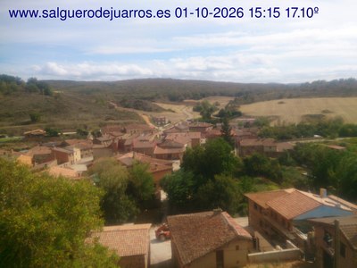 Recorre hacia atrás las últimas 24 horas
