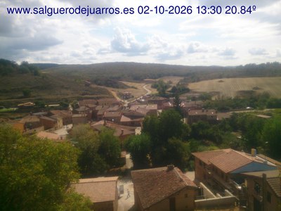 Recorre hacia atrás las últimas 24 horas
