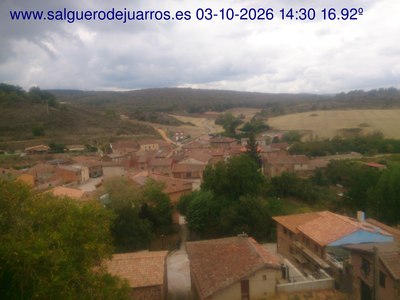 Recorre hacia atrás las últimas 24 horas
