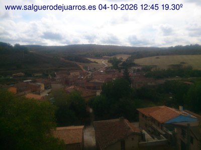 Recorre hacia atrás las últimas 24 horas
