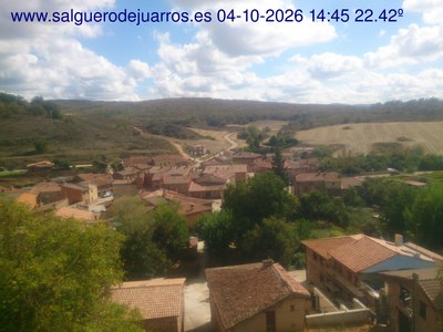 Recorre hacia atrás las últimas 24 horas
