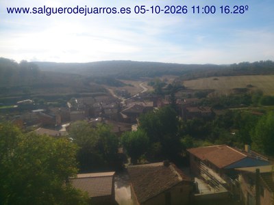 Recorre hacia atrás las últimas 24 horas
