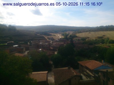 Recorre hacia atrás las últimas 24 horas
