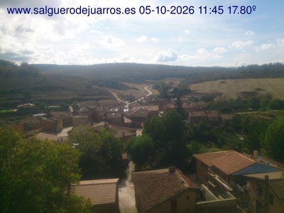 Recorre hacia atrás las últimas 24 horas
