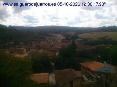 Recorre hacia atrás las últimas 24 horas
