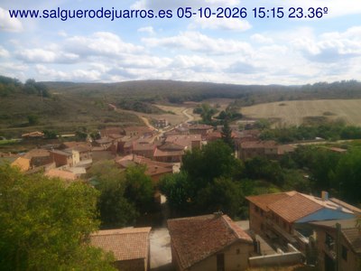 Recorre hacia atrás las últimas 24 horas
