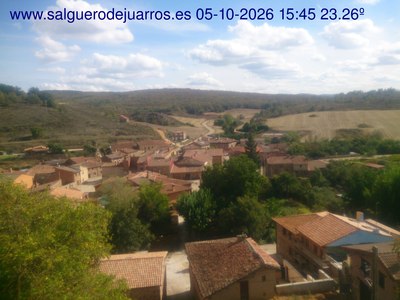Recorre hacia atrás las últimas 24 horas
