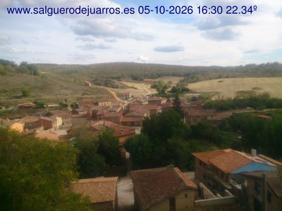 Recorre hacia atrás las últimas 24 horas
