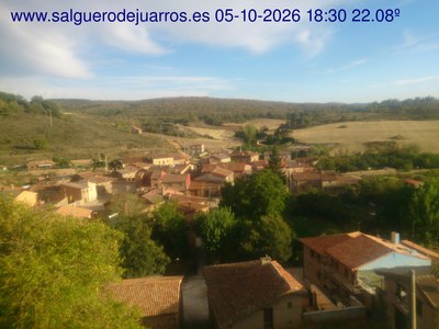 Recorre hacia atrás las últimas 24 horas
