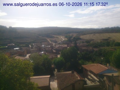 Recorre hacia atrás las últimas 24 horas
