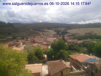 Recorre hacia atrás las últimas 24 horas
