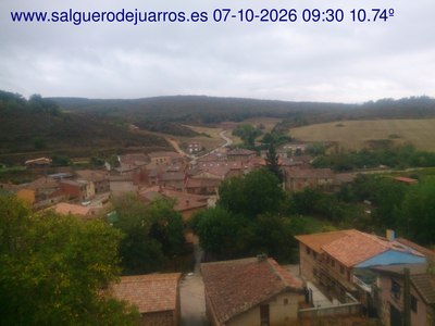 Recorre hacia atrás las últimas 24 horas
