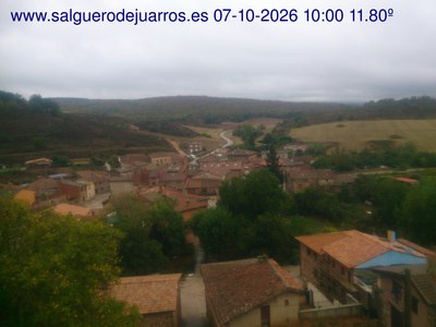Recorre hacia atrás las últimas 24 horas

