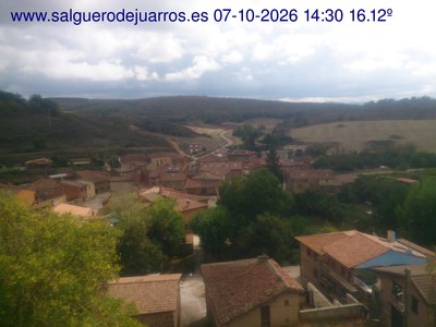 Recorre hacia atrás las últimas 24 horas
