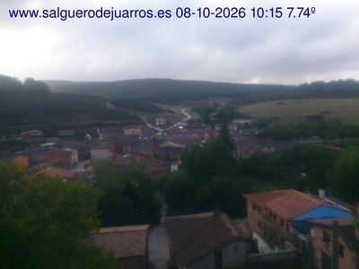 Recorre hacia atrás las últimas 24 horas
