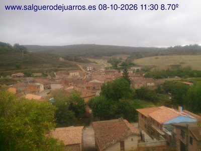 Recorre hacia atrás las últimas 24 horas
