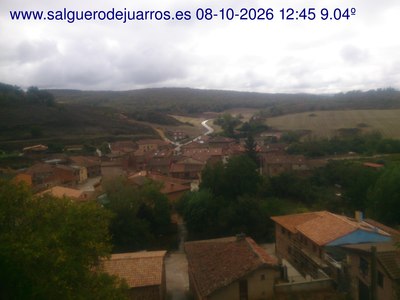 Recorre hacia atrás las últimas 24 horas
