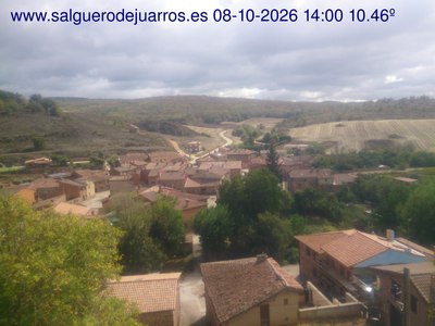 Recorre hacia atrás las últimas 24 horas
