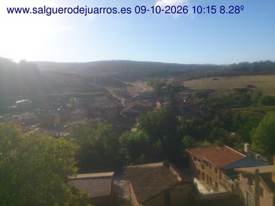 Recorre hacia atrás las últimas 24 horas
