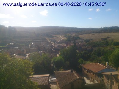 Recorre hacia atrás las últimas 24 horas
