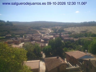 Recorre hacia atrás las últimas 24 horas
