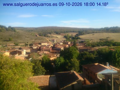 Recorre hacia atrás las últimas 24 horas
