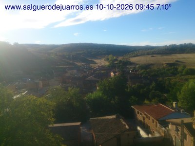 Recorre hacia atrás las últimas 24 horas

