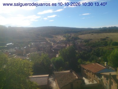 Recorre hacia atrás las últimas 24 horas
