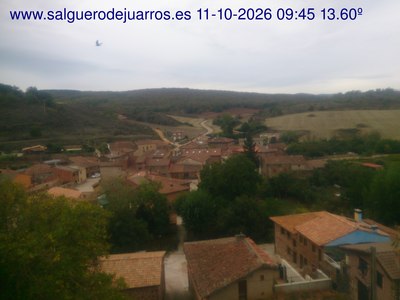 Recorre hacia atrás las últimas 24 horas

