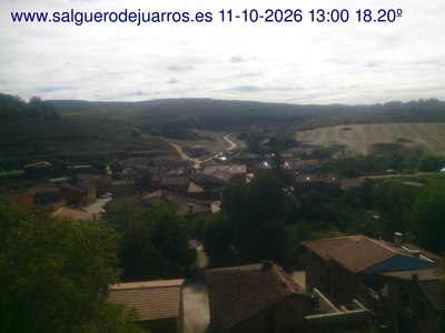 Recorre hacia atrás las últimas 24 horas
