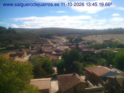 Recorre hacia atrás las últimas 24 horas
