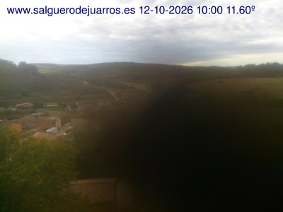 Recorre hacia atrás las últimas 24 horas
