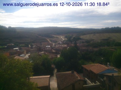 Recorre hacia atrás las últimas 24 horas
