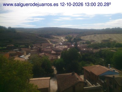 Recorre hacia atrás las últimas 24 horas
