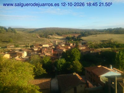 Recorre hacia atrás las últimas 24 horas

