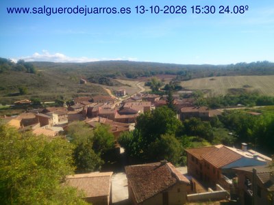 Recorre hacia atrás las últimas 24 horas
