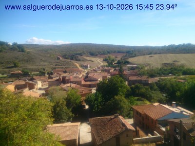 Recorre hacia atrás las últimas 24 horas
