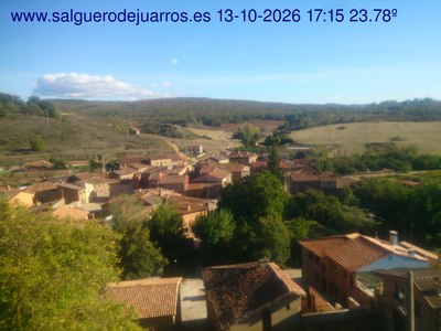 Recorre hacia atrás las últimas 24 horas
