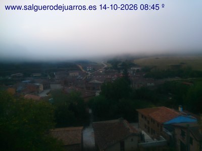 Recorre hacia atrás las últimas 24 horas
