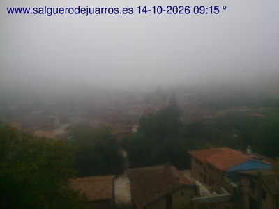 Recorre hacia atrás las últimas 24 horas

